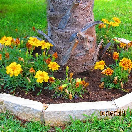 Апартаменты Milan Винкуран